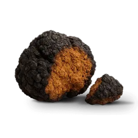 Chaga Mushroom