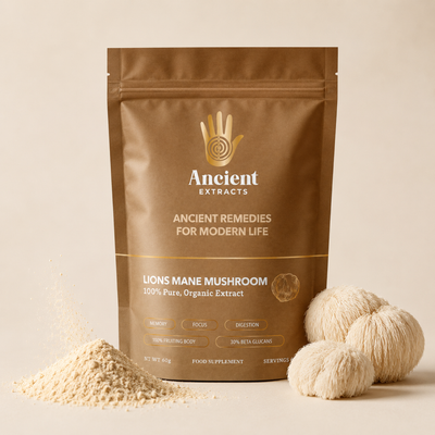 Lion's Mane Mushroom Extract Powder