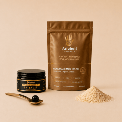 Digestive Reset Stack - Lion's Mane and Shilajit Resin - Ancient Extracts