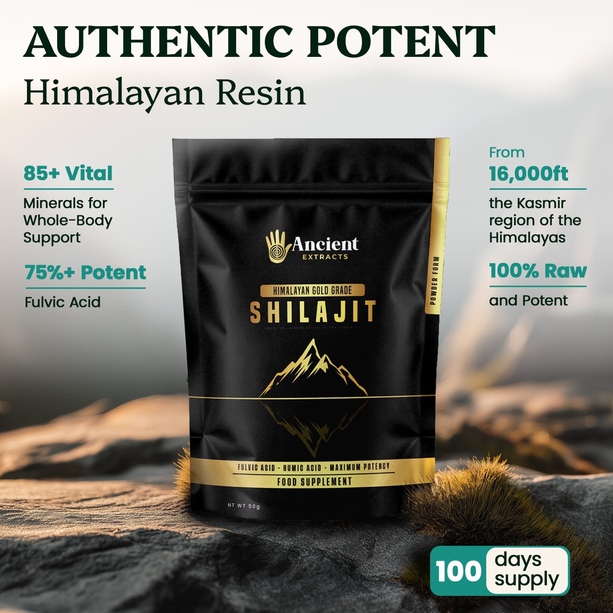 Shilajit Powder - Himalayan Gold Grade (50g) - Ancient Extracts