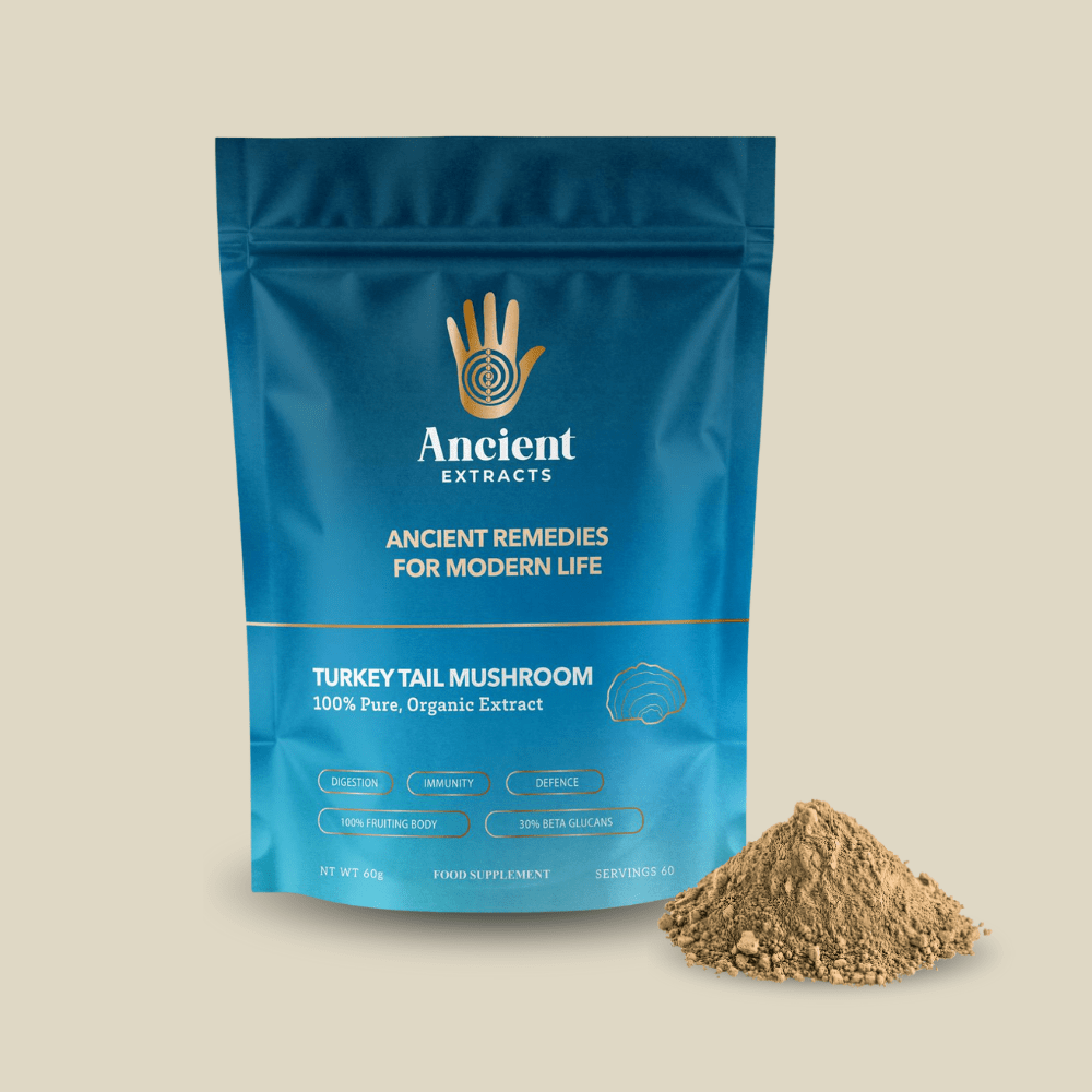 Turkey Tail Mushroom Extract Powder - 30% Beta - glucan (60g) - Mushroom Extract - Ancient Extracts