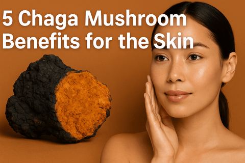 5 Powerful Chaga Mushroom Benefits for Skin Health - Ancient Extracts
