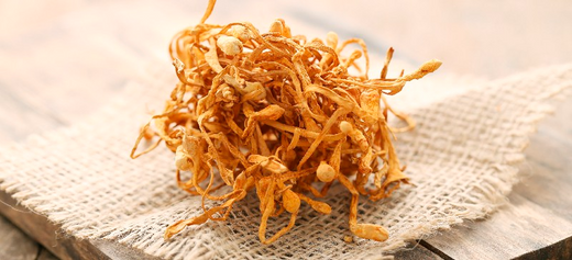 Close-up of Cordyceps mushrooms, known for boosting energy, enhancing endurance, and supporting overall wellness naturally