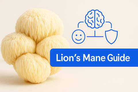 Lion's Mane Mushroom: Evidence-Based Benefits, Dosage & Best UK Supplements - Ancient Extracts
