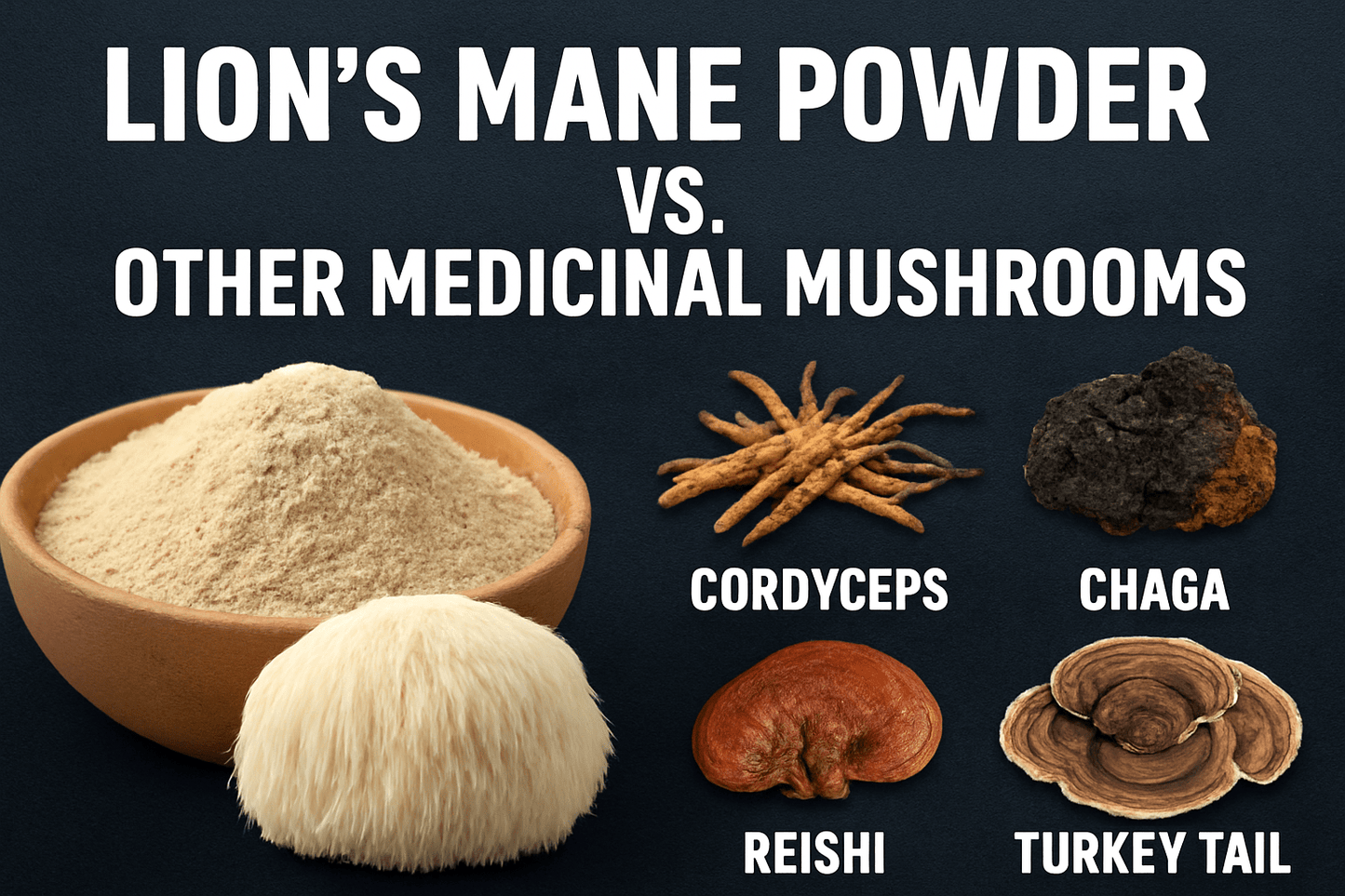 Lions Mane Powder vs. Other Medicinal Mushrooms - Ancient Extracts
