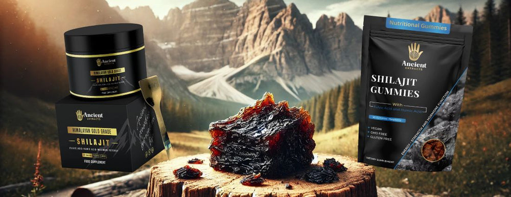 a picture of sjilajit resin and shilajit gummies to choose for your daily routine