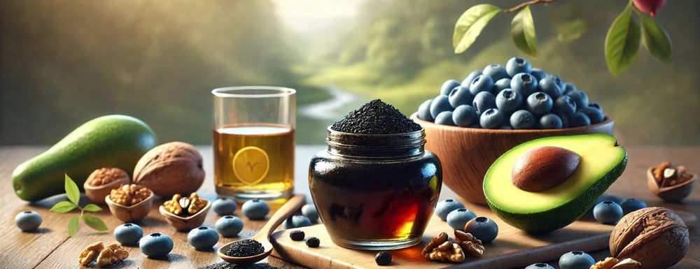 shilajit as a natural support for cardiovascular wellness