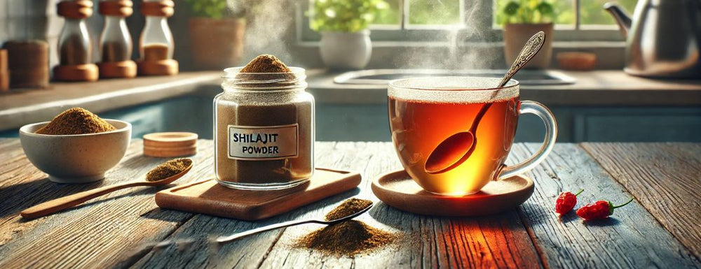 shilajit powder in combating chronic fatigue 