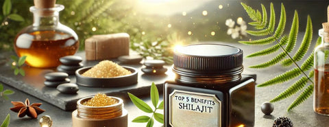 Top 5 Benefits of Shilajit: The Super Mineral for Energy and Longevity - Ancient Extracts