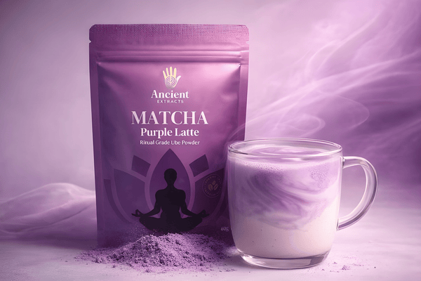 Ube Matcha: Flavour, Benefits & How to Make an Ube Latte - Ancient Extracts