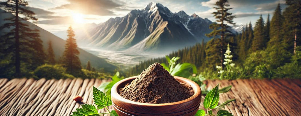 shilajit powder as the ultimate supplement for longevity