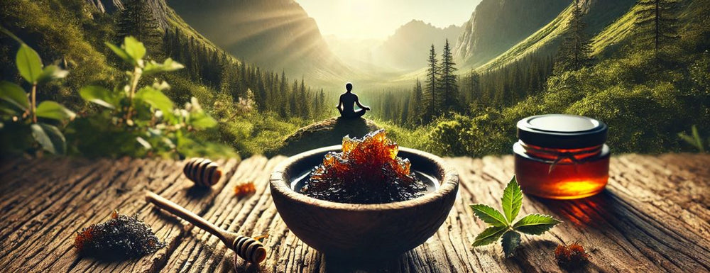 Ancient Extracts UK Shilajit Products