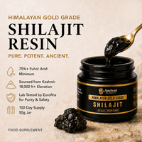 Shilajit Resin - Himalayan Gold Grade (Copy) - Nutrition support - Ancient Extracts