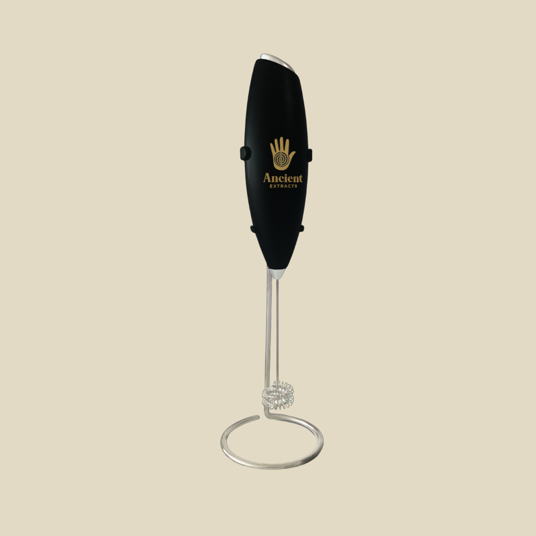 Electric Mixer/Frother