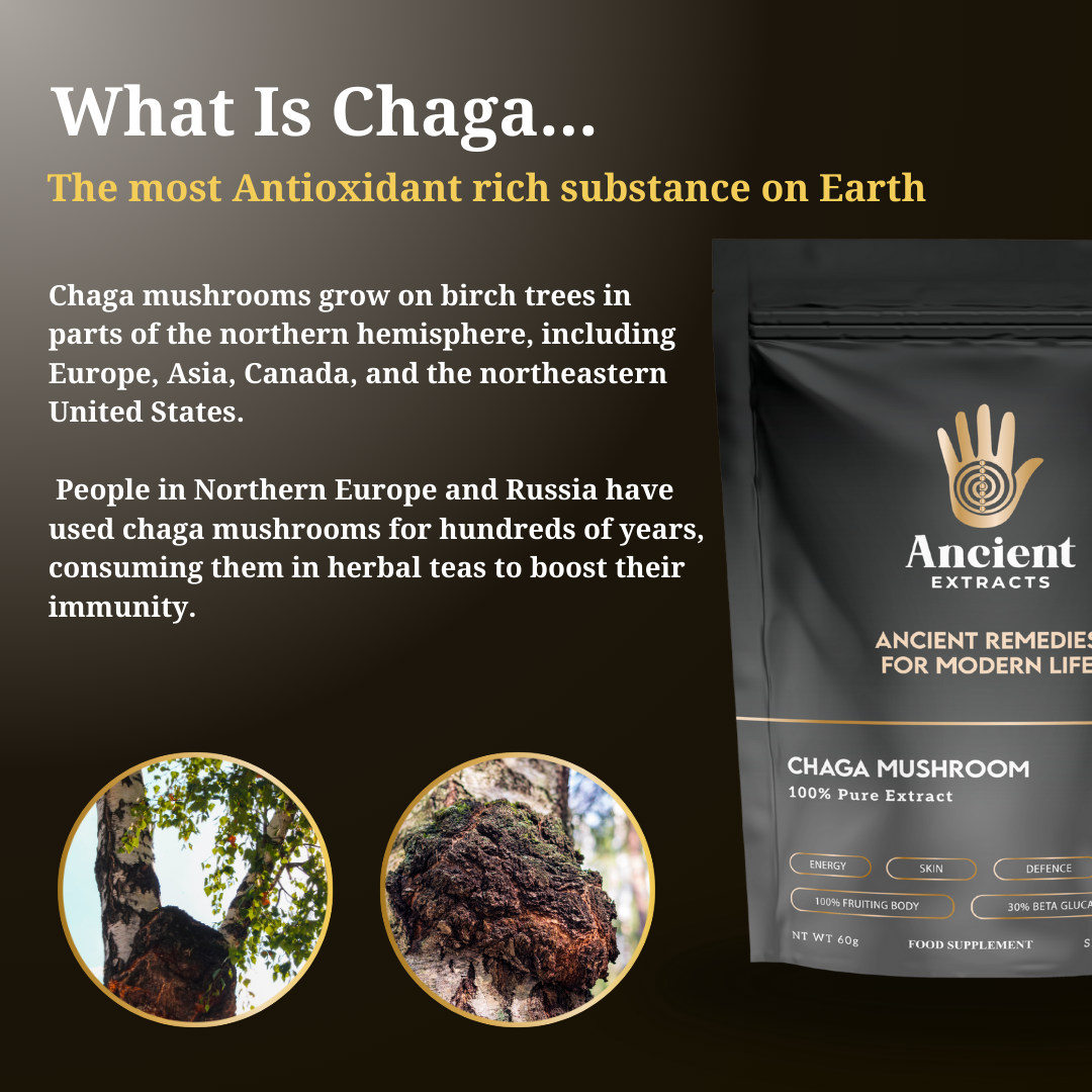 
                  
                    Organic Chaga Mushroom Extract Powder 30% Beta-glucan (60g)
                  
                