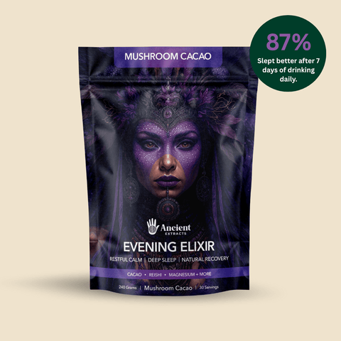 Evening Elixir Mushroom Cacao - Mushroom Extract - Ancient Extracts