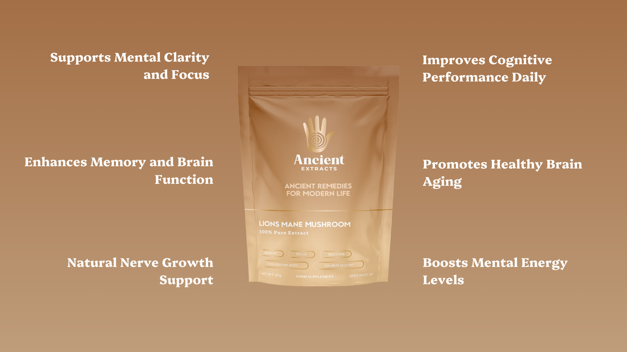 Lion’s Mane Mushroom Extract Powder - 30% Beta-glucan (60g)