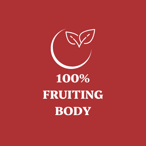 Reishi Mushroom Extract Powder - 30% Beta-glucan (60g)
