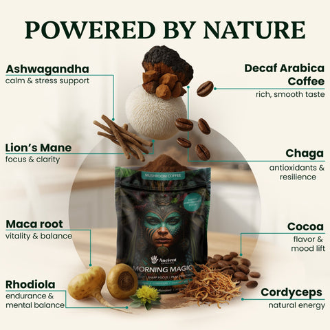 Morning Magic Mushroom Coffee (240g) - Mushroom Extract - Ancient Extracts