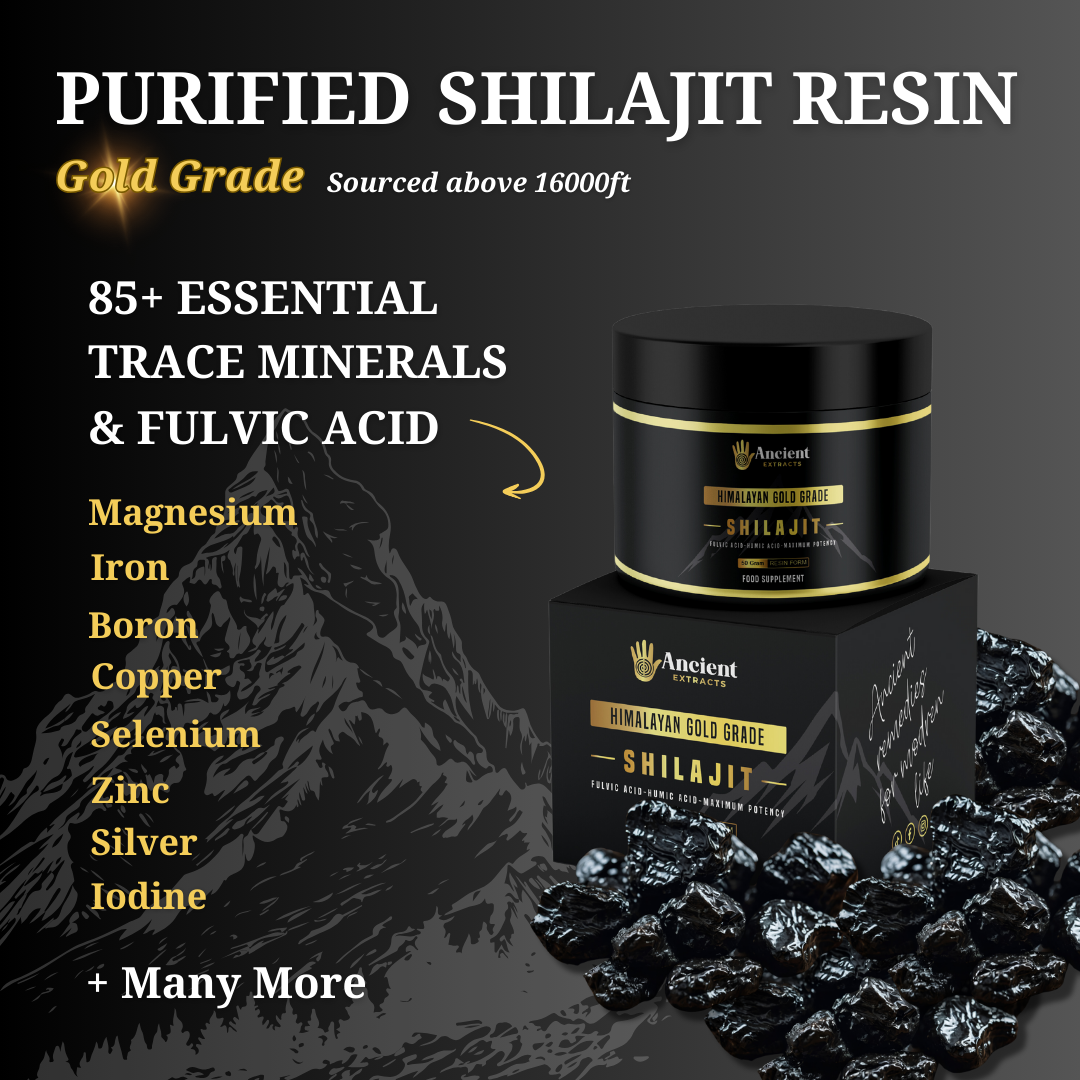 
                  
                    Organic Purified Himalayan Shilajit Resin Superfood (50g)
                  
                
