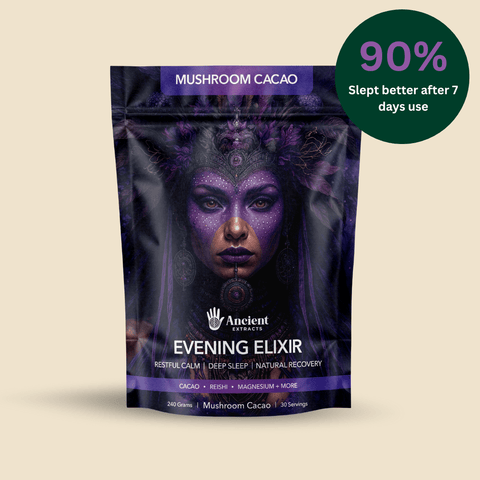Evening Elixir Mushroom Cacao - Mushroom Extract - Ancient Extracts