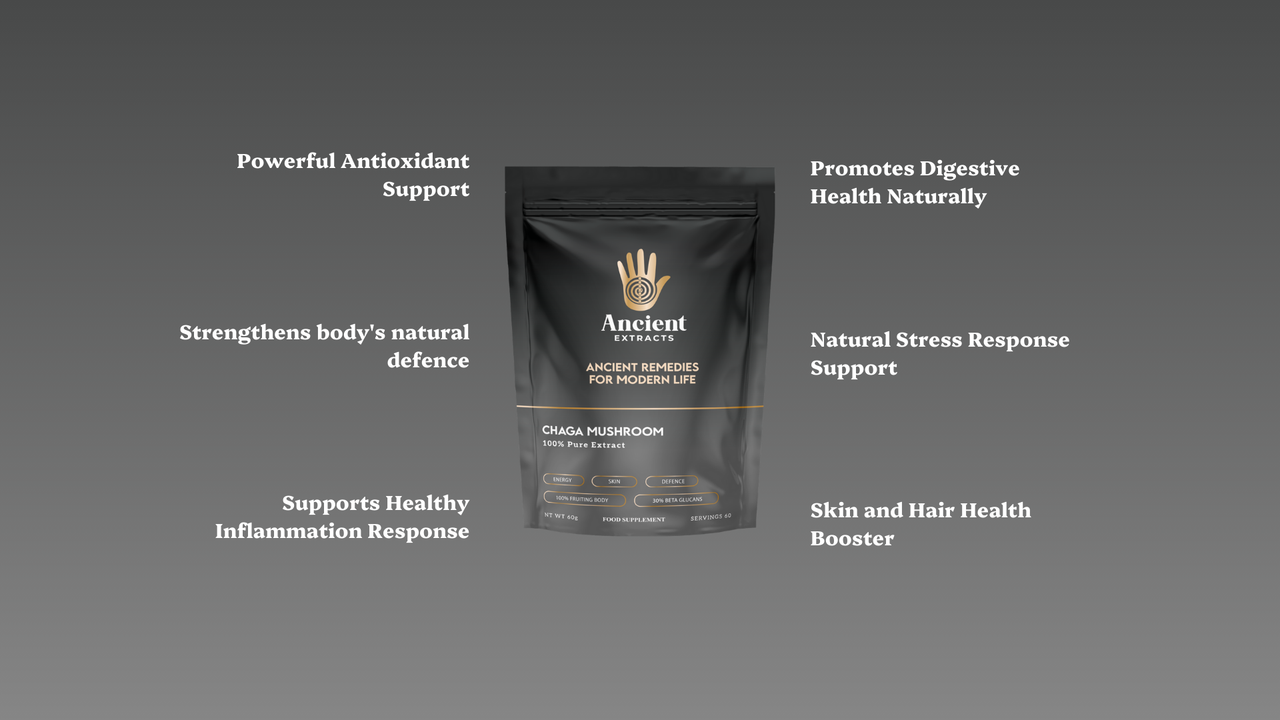 Chaga Mushroom Extract Powder - 30% Beta-glucan (60g)