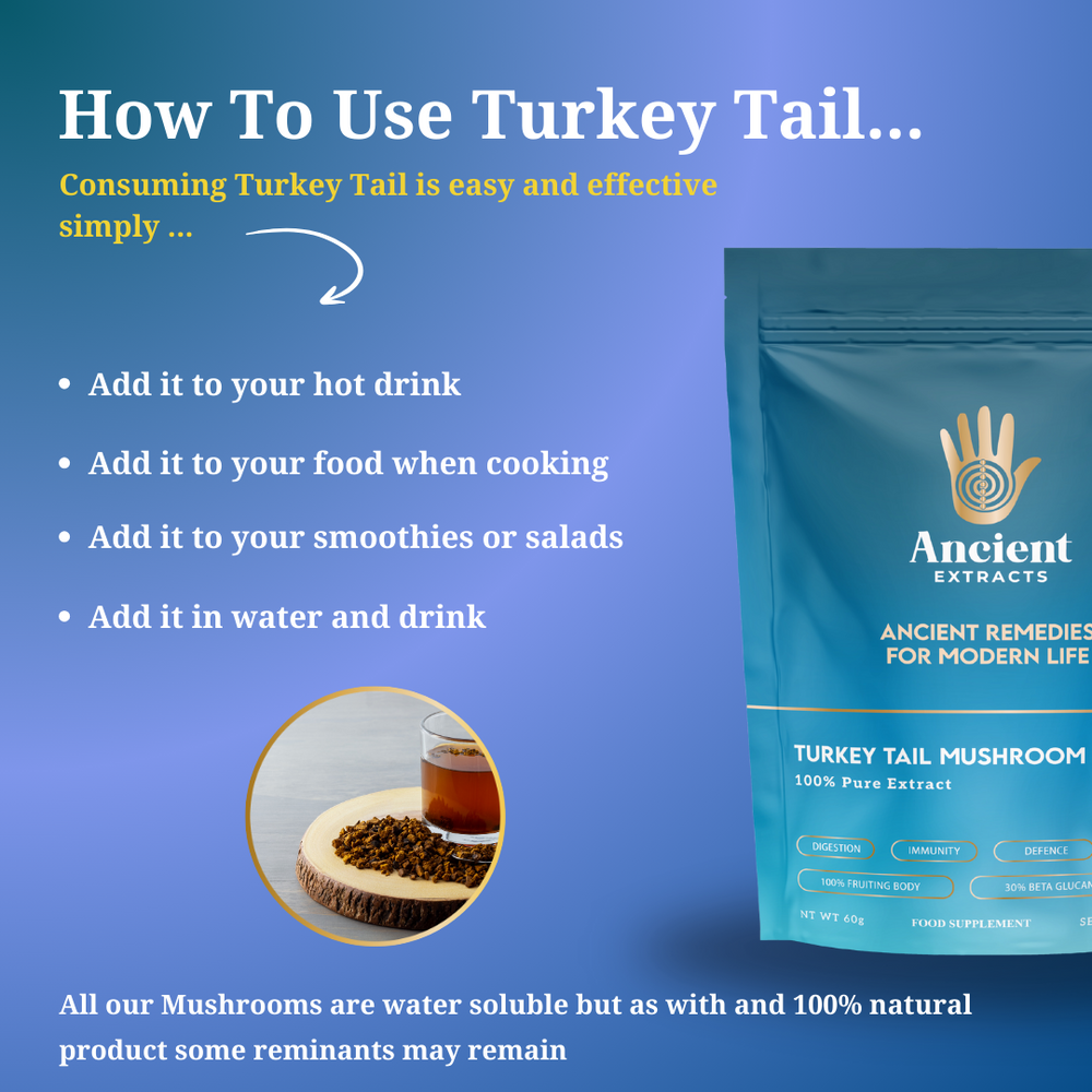 
                  
                    Organic Turkey Tail Mushroom Extract Powder 30% Beta-glucan (60g)
                  
                
