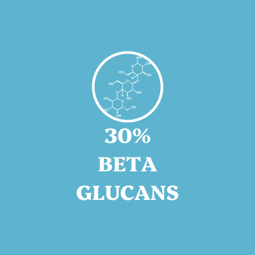 Turkey Tail Mushroom Extract Powder - 30% Beta-glucan (60g)