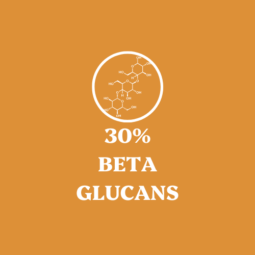Cordyceps Mushroom Extract Powder - 30% Beta-glucan (60g)