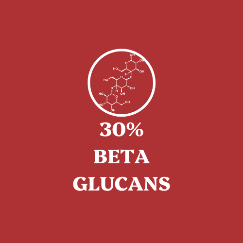 Reishi Mushroom Extract Powder - 30% Beta-glucan (60g)