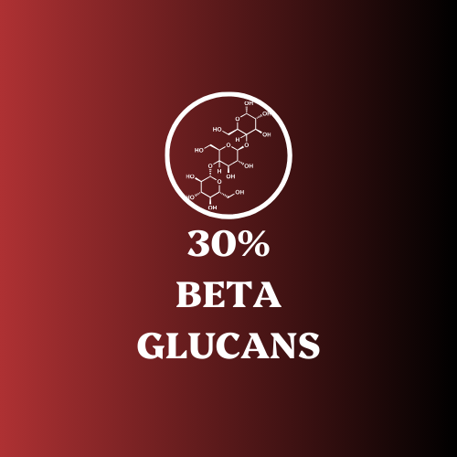 Detox Pair - Raw Shilajit Resin and Reishi Mushroom  Extract