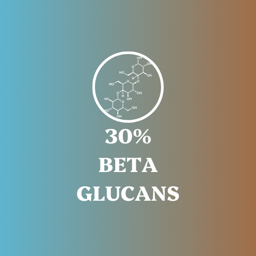 Digestive Pair Lions Mane & Turkey Tail Extracts - 30% Beta Glucans (60g each)