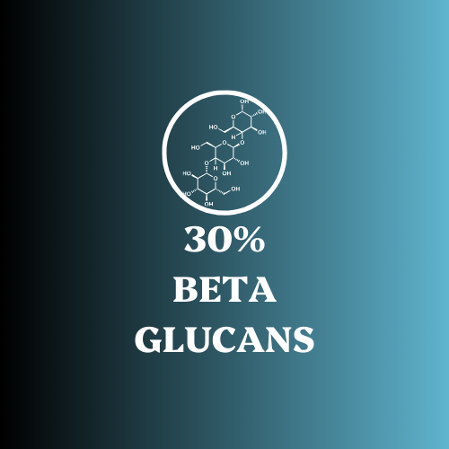 Immunity Pair Turkey Tail & Chaga Extracts - 30% Beta Glucan (60g each)