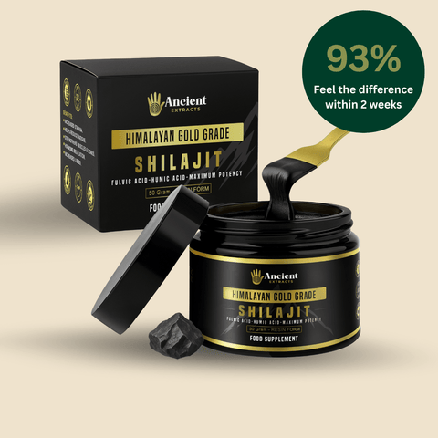Shilajit Resin - Himalayan Gold Grade - Nutrition support - Ancient Extracts
