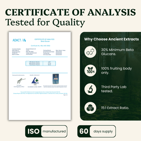 Turkey Tail For Pets - Veterinarian formulated for Dogs and Cats - Mushroom Extract - Ancient Extracts
