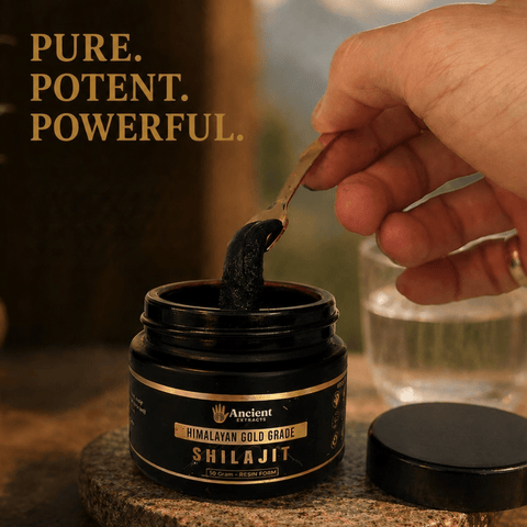 Shilajit Resin - Himalayan Gold Grade - Nutrition support - Ancient Extracts