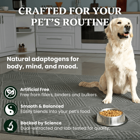 Turkey Tail For Pets - Veterinarian formulated for Dogs and Cats - Mushroom Extract - Ancient Extracts