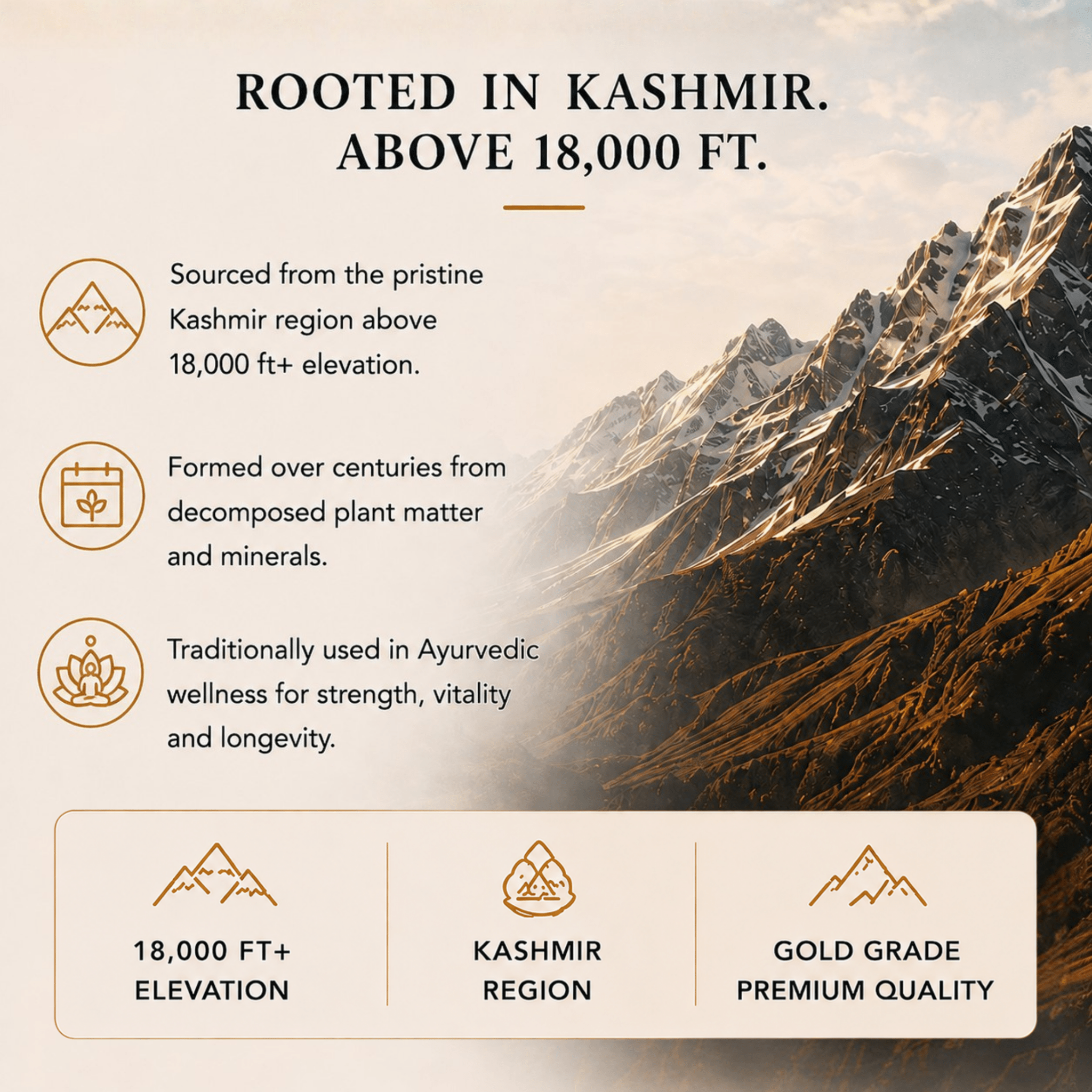 Shilajit Resin - Himalayan Gold Grade (Copy) - Nutrition support - Ancient Extracts