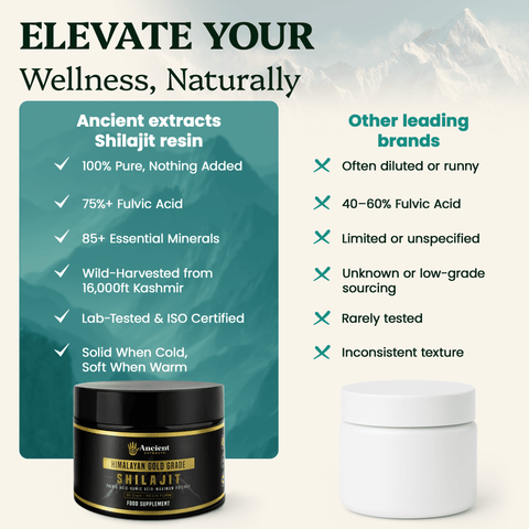 Shilajit Resin - Himalayan Gold Grade (50g) - Nutrition support - Ancient Extracts