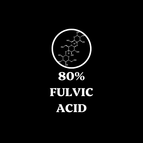 Purified Raw Himalayan Shilajit Resin Superfood (50g)