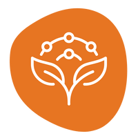 Rich in Antioxidants 