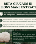 Lion's Mane Mushroom Extract Powder - 30% Beta - glucan (60g) - Mushroom Extract - Ancient Extracts