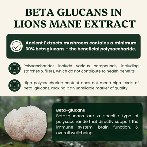 Lion's Mane Mushroom Extract Powder - 30% Beta - glucan (60g) - Mushroom Extract - Ancient Extracts