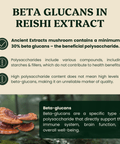 Reishi Mushroom Extract Powder - Mushroom Extract - Ancient Extracts