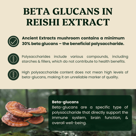 Reishi Mushroom Extract Powder - Mushroom Extract - Ancient Extracts