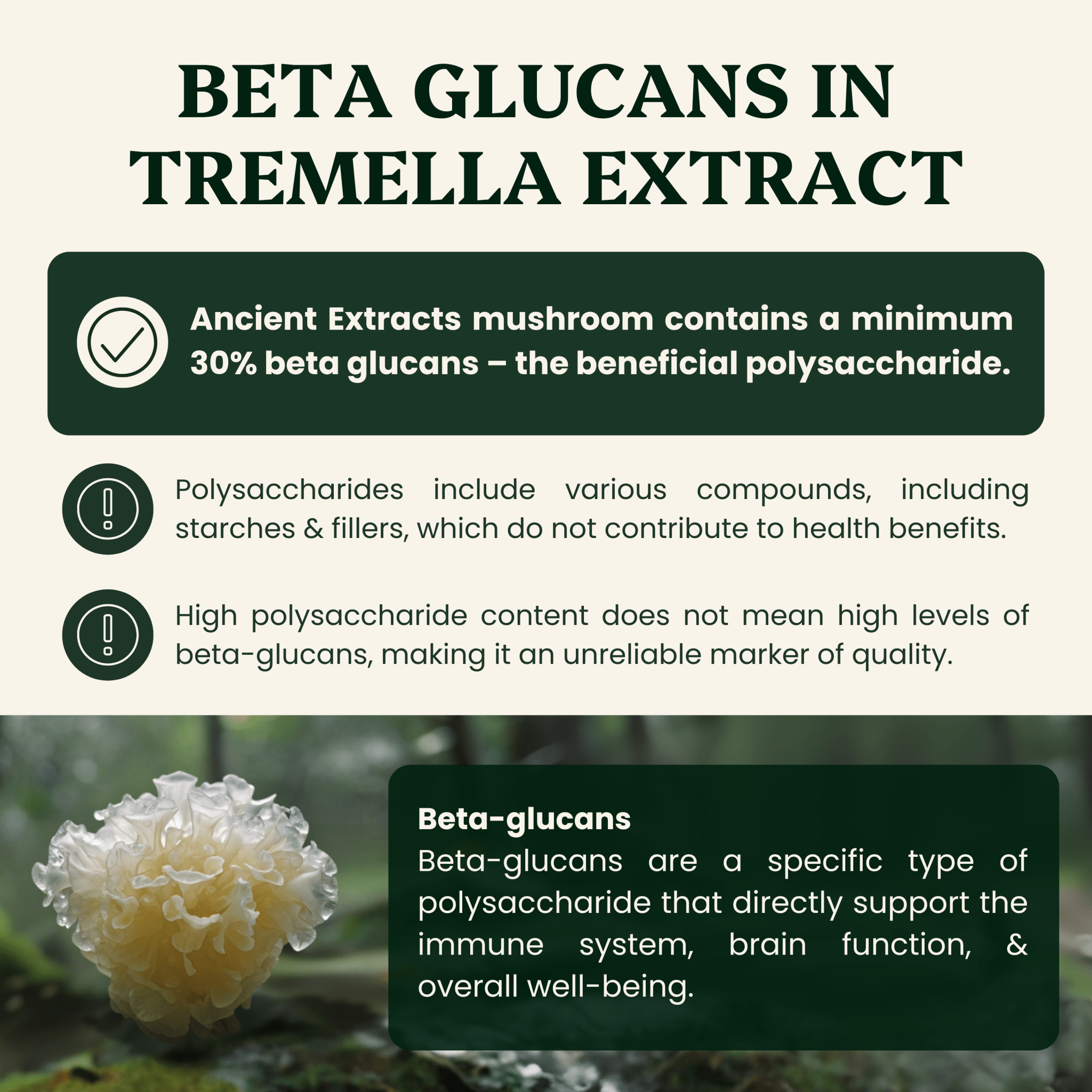 Tremella Mushroom Organic Extract - 30% Beta Glucans (60g) - Ancient Extracts