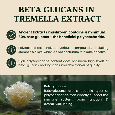 Tremella Mushroom Extract Powder - Ancient Extracts