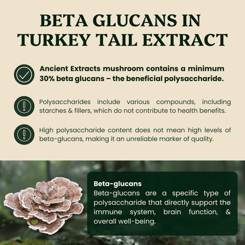 Turkey Tail Mushroom Extract - For Pets - Mushroom Extract - Ancient Extracts