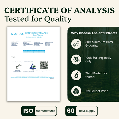 Lion's Mane Mushroom Extract Powder - 30% Beta - glucan (60g) - Mushroom Extract - Ancient Extracts