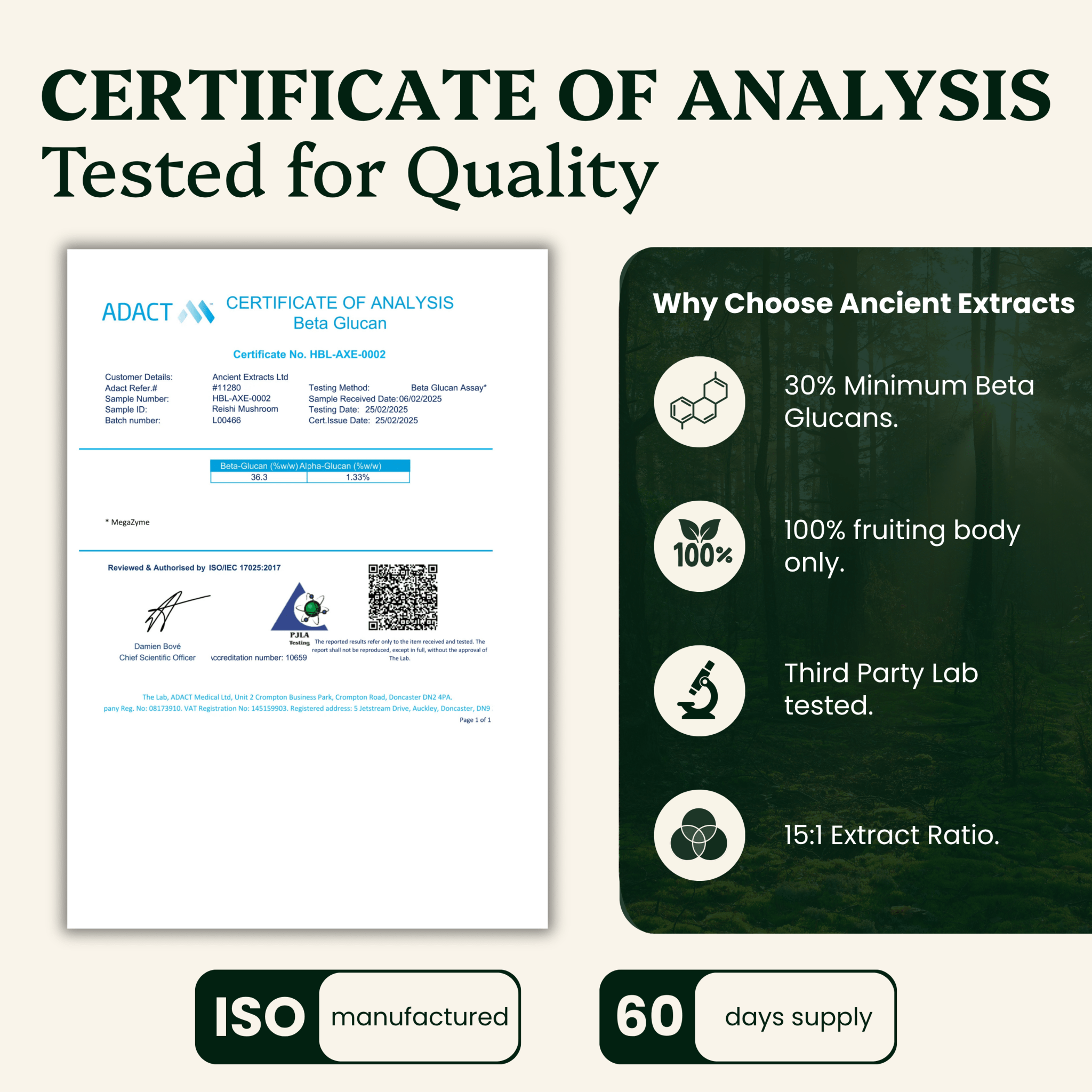 Reishi Mushroom Extract Powder - 30% Beta - glucan (60g) - Mushroom Extract - Ancient Extracts